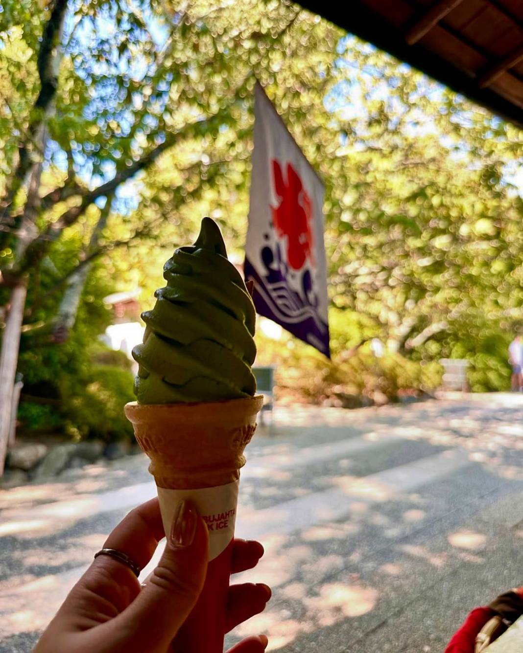 Japonya'da sevilen bir yabancı olun: Harika bir deneyim için altın kurallar! Gülümse ve kurallara uy 16